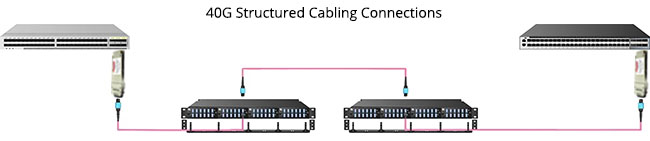 40G Structured Cabling Connections